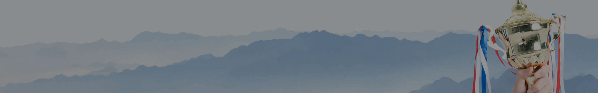 企業(yè)榮譽(yù)